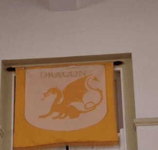 Dragon house banner